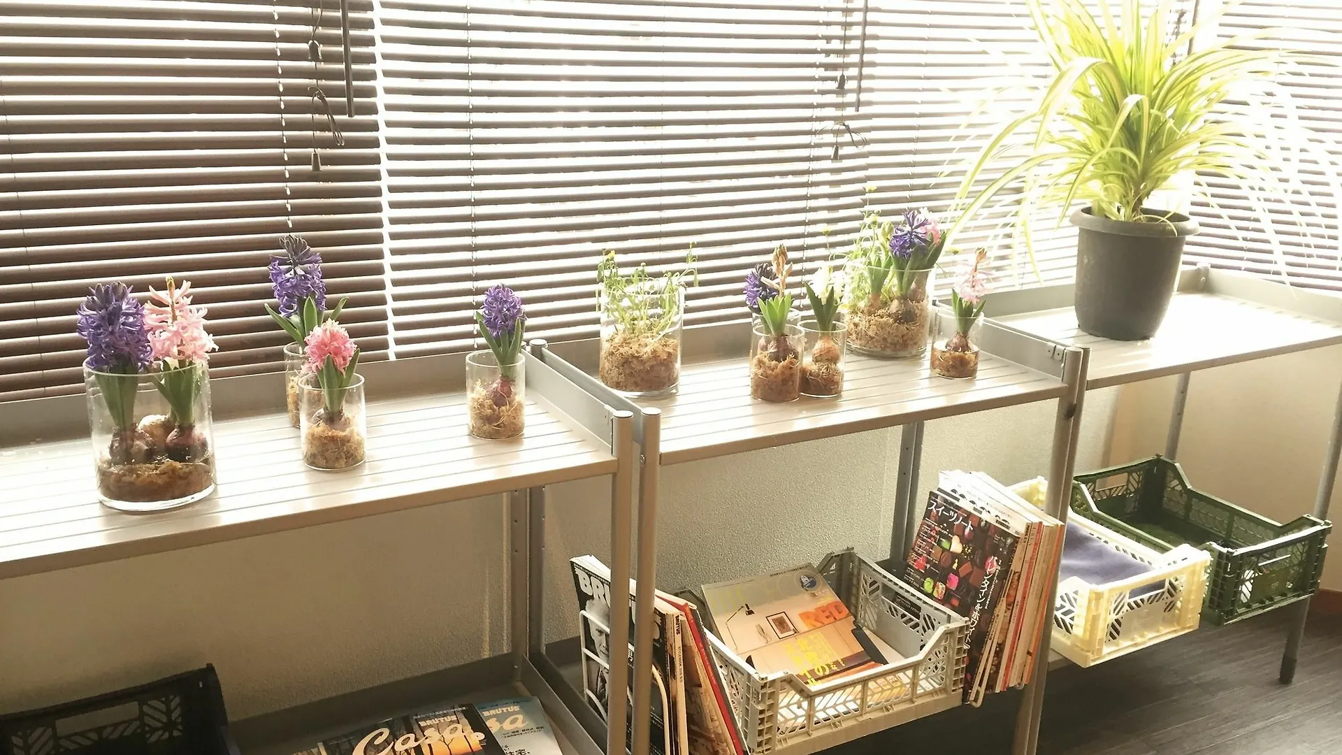 Daikoku House Hotel Osaka